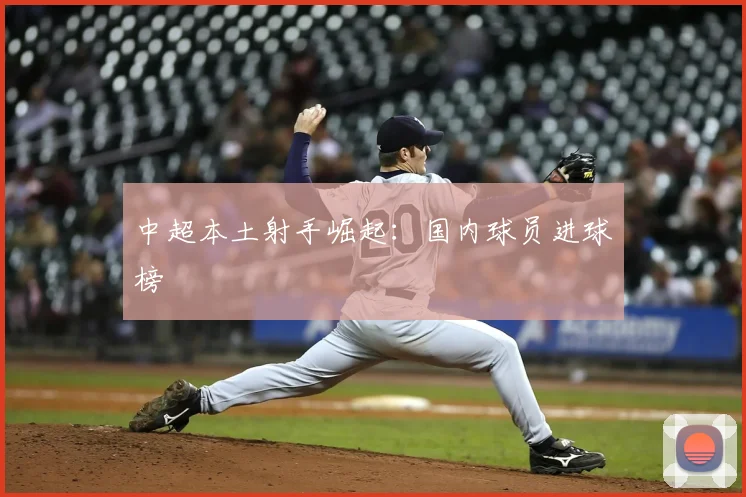 中超本土射手崛起:国内球员进球榜