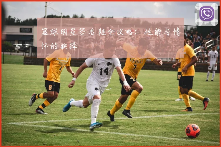 篮球明星签名鞋全攻略：性能与情怀的抉择