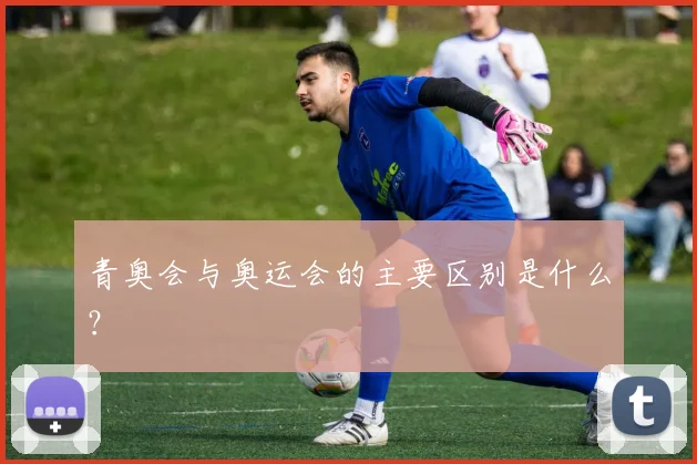 青奥会与奥运会的主要区别是什么？