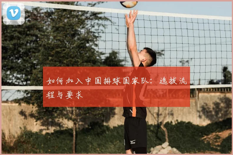 如何加入中国排球国家队:选拔流程与要求