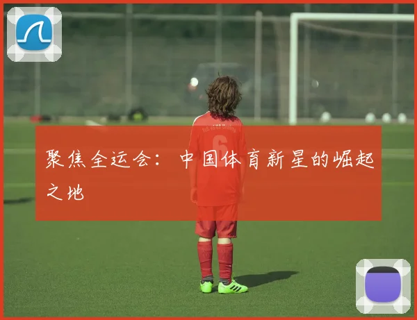 聚焦全运会：中国体育新星的崛起之地