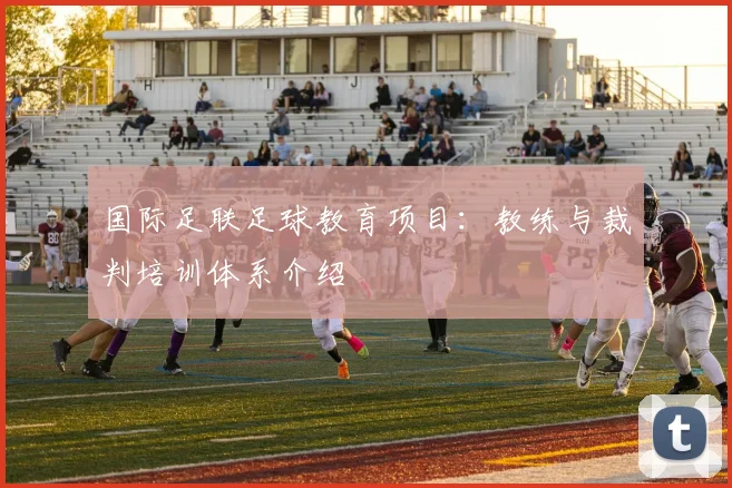 国际足联足球教育项目:教练与裁判培训体系介绍